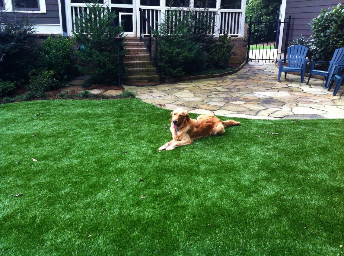 Pet Turf Installation in Katy, TX